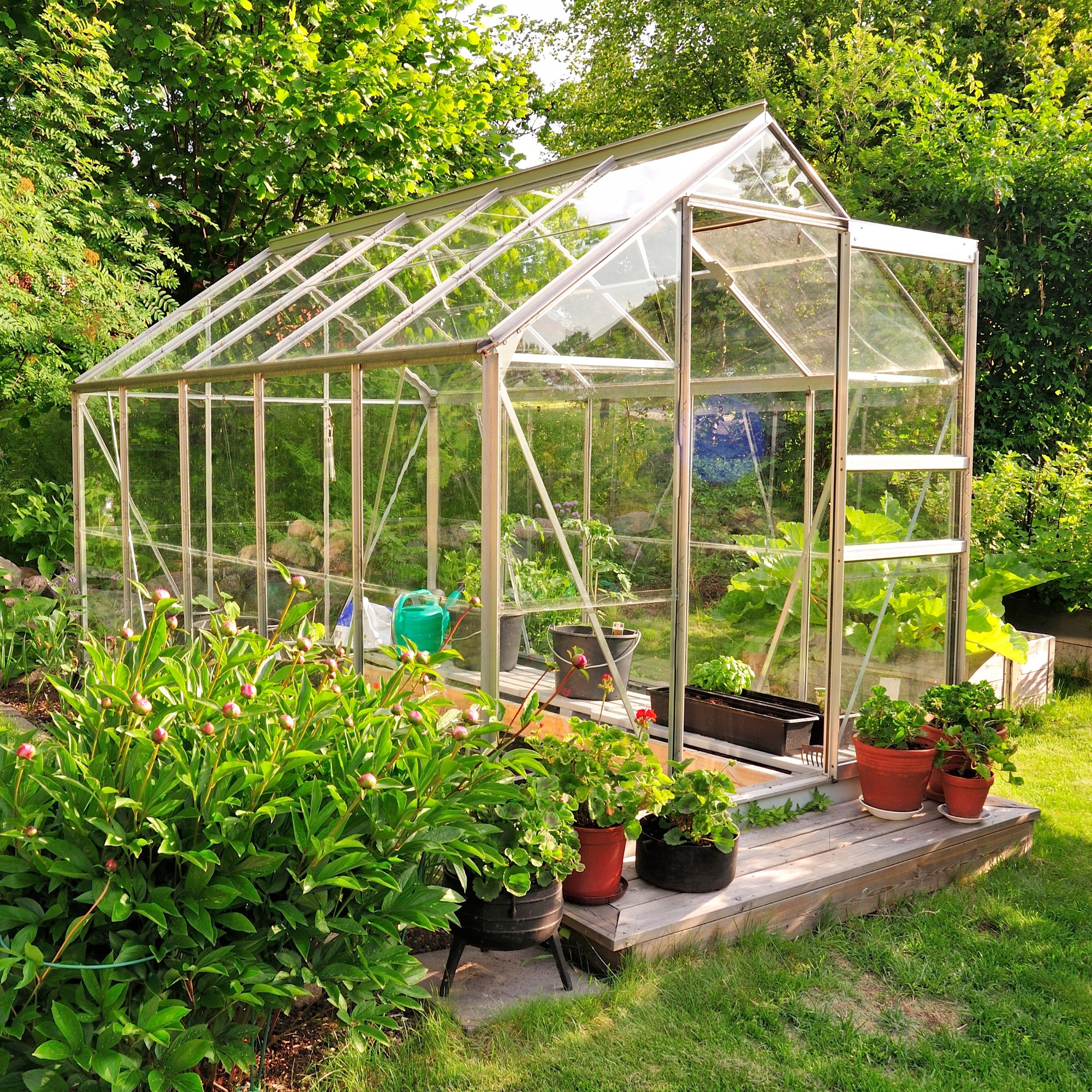 Cut to Size Greenhouse Windows