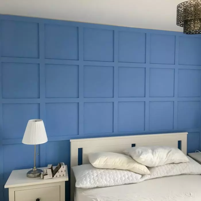 Blue living room panelling